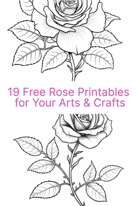 Introducing my hand-drawn collection of 19 free rose printables! These rose coloring pages with rose buds, enchanted rose designs and rose bouquets are perfect for adding floral aesthetic to your arts and craft! Flower Templates Printable Free Pattern Rose, Rose Coloring Pages Free Printable, Rose Template Free Printables, Rose Embroidery Pattern Free Printable, Simple Rose Drawing Outline, Rose Stencil Templates, Rose Sketch Simple, Art Materials Organization, Rose Outline Drawing