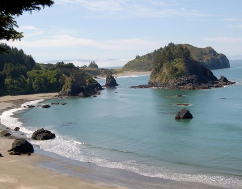 Redwood Coast Charm: 3 Day Humboldt County Itinerary - A Different Kind of Travel Humboldt County California, Humboldt County, Parking Lot, Another Day, Trinidad, Interesting Art, How To Make An, Tree Branches, The Beach