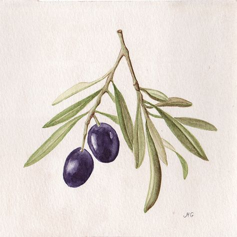 Olive Tattoo, Branch Watercolor, Olive Branch Tattoo, Watercolor Fruit, Cerámica Ideas, Soyut Sanat Tabloları, 수채화 그림, Botanical Painting, Botanical Watercolor