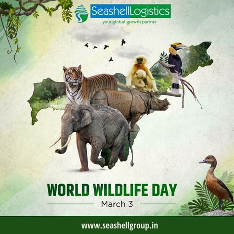 With the theme of 2022, “Recovering key species for ecosystem restoration”, #WorldWildlifeDay supports the restoration of the habitats and ecosystems of critically endangered species. #SeashellLogistics #Globalgrowthpartner World Wild Life Day, National Wildlife Day, Ecosystem Restoration, Environment Photography, Life Day, Wildlife Day, Channel Islands National Park, Visit Yellowstone, Recruitment Poster