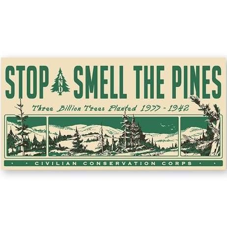 Retro Outdoors Aesthetic, Vintage Environmental Posters, Camping Branding, Civilian Conservation Corps, The Pines, National Park Posters, Mood Board Design, Wild Nature, The Ranch