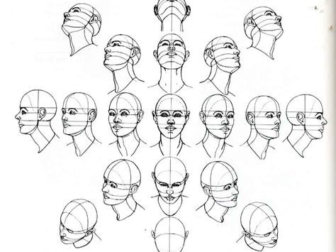 face angles Head Positions, Figure Construction, Procreate Artwork, Drawing The Human Head, Brain Drawing, Contemporary Realism, Drawing Hair, Drawing Heads, Drawing Faces