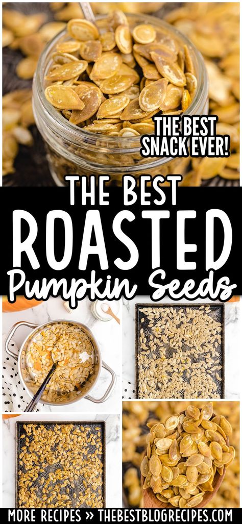 Roasted Pumpkin Seeds How Do You Roast Pumpkin Seeds, Best Roasted Pumpkin Seeds Recipe, Pumpkin Seed Seasoning Recipes, Home Made Pumpkin Seeds, Best Roasted Pumpkin Seeds, Punkin Seeds Recipe, Oven Roasted Pumpkin Seeds Recipe, Sweet Roasted Pumpkin Seeds, Best Pumpkin Seeds Roasted