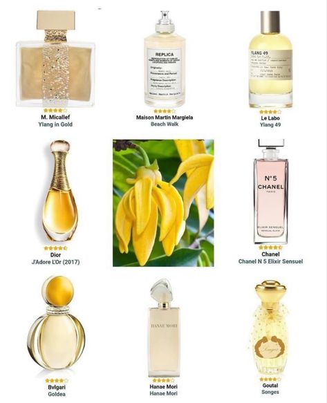 Ylang-Ylang Perfumes❣️ Bvlgari Goldea, Koleksi Makeup, Spring Perfume, Chanel N 5, Fragrance Lab, Hanae Mori, Fragrances Perfume Woman, Perfume Collection Fragrance, Chanel Chanel