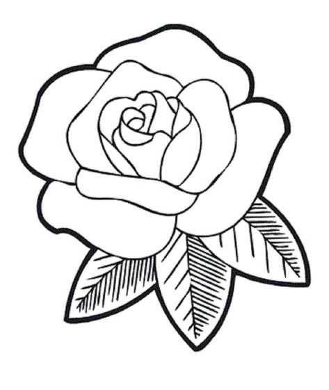 Rose Drawing Simple, Easy Pencil Drawings, Simple Flower Drawing, Lilies Drawing, Printable Flower Coloring Pages, Easy Cartoon, Rose Coloring Pages, Easy Flower Drawings, Flowers Easy