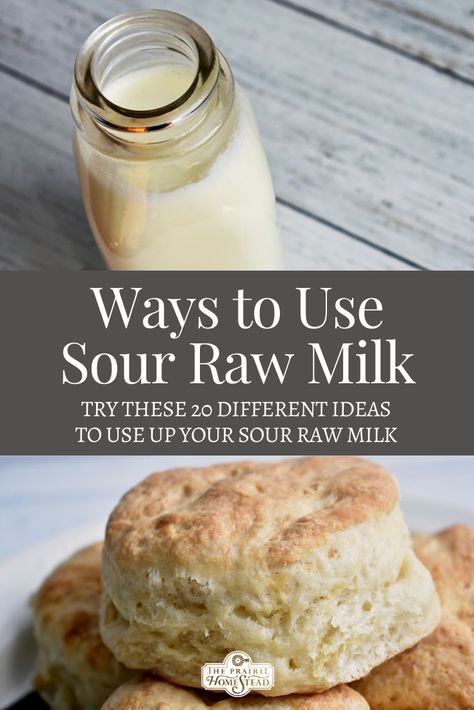 Raw Cow Milk Recipes, What To Do With Sour Milk Recipes For, Sour Milk Bread Recipes, Soured Milk Recipes, Lots Of Milk Recipes, What To Do With Old Milk, What To Make With Sour Milk, Recipes For Sour Milk, Uses For Sour Milk