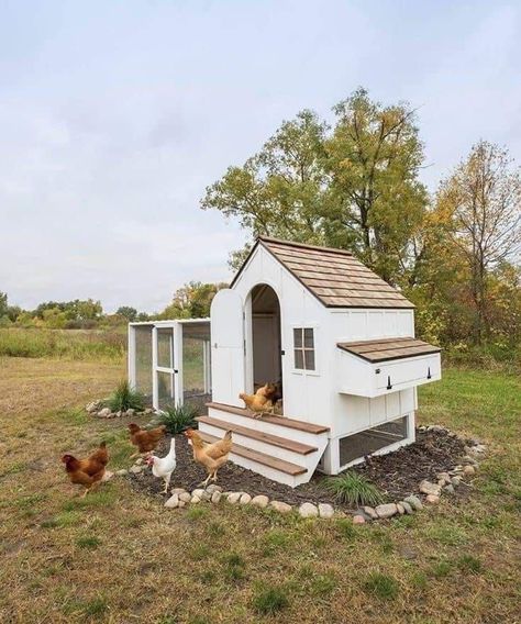 Cute Chicken Coops, Chicken Coop Garden, Backyard Chicken Coop Plans, American Farmhouse Style, Backyard Chicken Farming, Coop Design, Joinery Design, Chicken Coop Designs, Farm Lifestyle