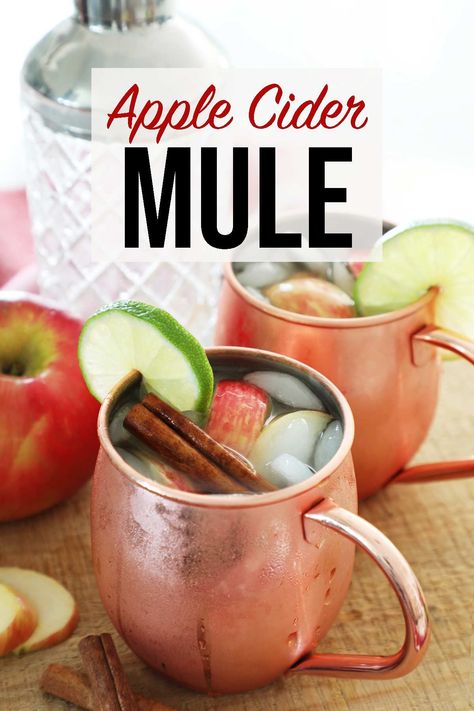 Apple Cider Mule, Cider Moscow Mule, Cider Mule, Apple Cider Moscow Mule, Apple Vodka, Moscow Mule Recipe, Hard Apple Cider, Mule Recipe, Fall Cocktails Recipes