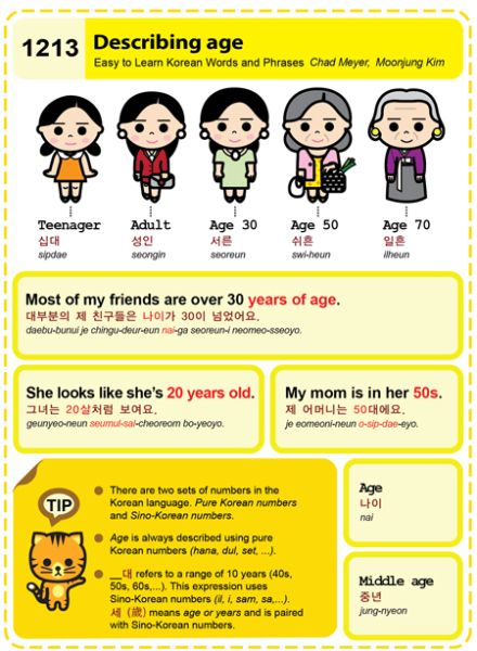 1213-Describing age Age In Korean Language, Age In Korean, Korean Vocab, Korean Numbers, Korean Study, Learn Basic Korean, Korean Letters, Korean Age, Learn Korean Alphabet