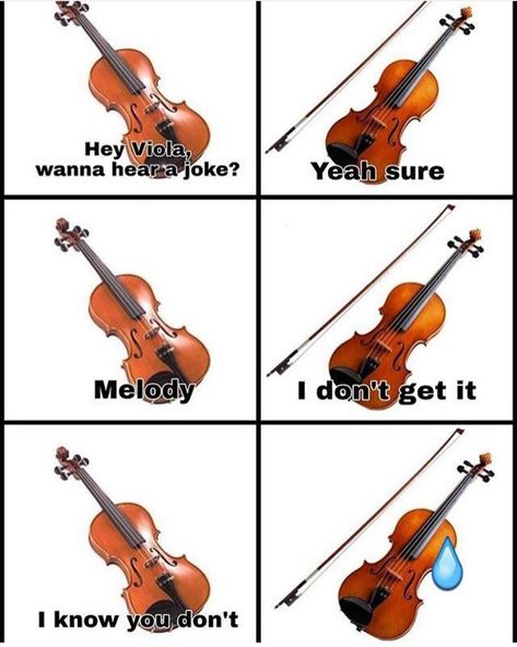 Viola Jokes, Orchestra Humor, Musician Memes, Musician Jokes, Meme Music, Viola Music, Musical Jokes, Musician Humor, Band Jokes