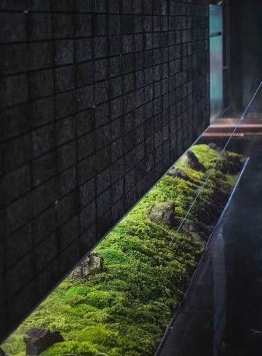 Peter Zumthor, Japanese Garden Design, Moss Garden, Interior Garden, Zen Garden, Landscape Lighting, Modern Garden, Japanese Garden, Restaurant Design