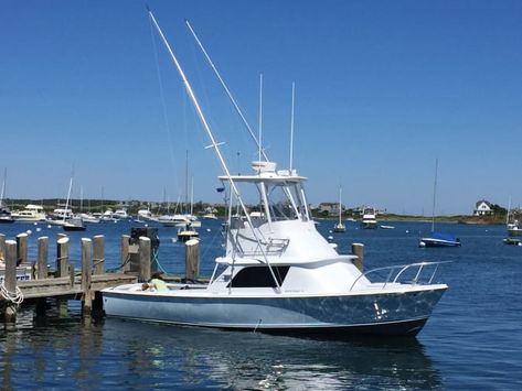 Bertram Boats, Blue Marlin, Shelter Island, Old Boats, Cool Boats, Classic Boats, Water Skiing, Side Window, Fishing Boats