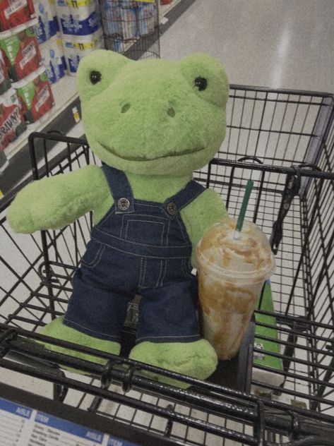 Frog Build A Bear, Frog Ideas, Frogs Cute, Build A Bear Frog, Frog Plushie, Frog Aesthetic, Build A Bear Outfits, Build A Bear Workshop, Teddy Bear Pictures