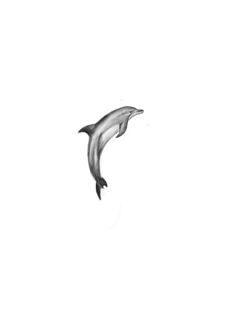 Dolphin Flash Tattoo, Realism Dolphin Tattoo, Fineline Dolphin Tattoo, Minimal Dolphin Tattoo, Matching Dolphin Tattoos, 2 Dolphin Tattoo, Two Dolphins Tattoo, Delfino Tattoo, Fine Line Dolphin Tattoo