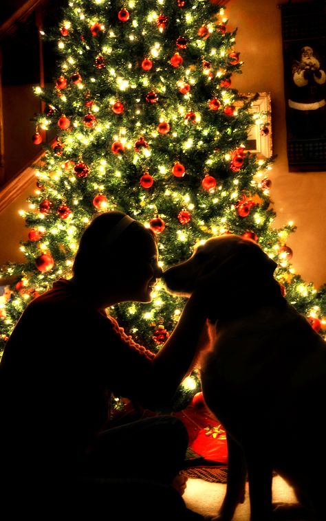 Dog And Mom Christmas Pictures, Valentine Outfit Ideas For Women, Christmas Photoshoot Ideas Dogs, Christmas Pic With Dog, Christmas Family Dog Photos, Dog And Owner Christmas Pictures, Dog Xmas Photo Ideas, Christmas Photo Shoot With Dog, Christmas Dog Pictures Photo Ideas