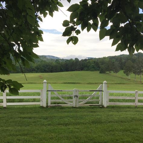 Marina Rust, White Fence Farm, A Soft Life, Pasture Fencing, Farm Entrance, Country Fences, Horse Fencing, White Fence, Farm Fence