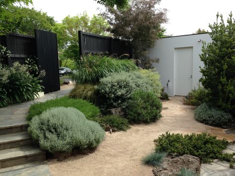 Front entrance to Cameron Paterson's Australian garden Australian Native Garden, Front Garden Design, Dry Garden, Australian Garden, Coastal Gardens, Low Maintenance Landscaping, Low Maintenance Garden, Mediterranean Garden, Have Inspiration