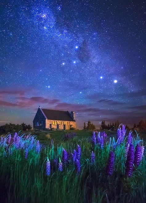 colour my world Lake Tekapo New Zealand, Tekapo New Zealand, Texas Bluebonnets, Ideal World, Beautiful Skies, Fajardo, Winter Sunset, Night Landscape, Moon Photography