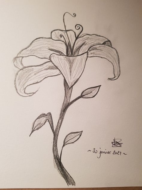 Fairy Flower Drawing, Magical Drawings, Easy Eye Drawing, Vine Drawing, Creative Pumpkin Painting, Lilies Drawing, Easy Disney Drawings, Pencil Drawings Of Flowers, Flower Art Drawing