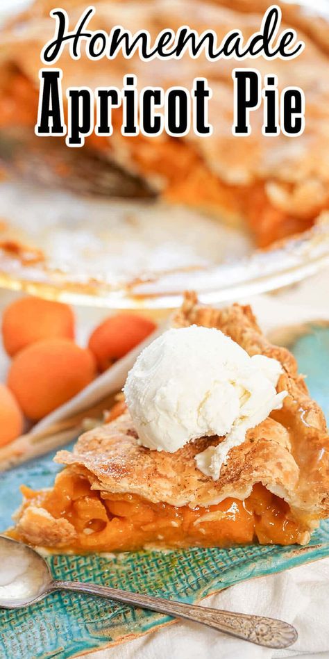 Apricot Pie Filling, Apricot Pie Recipe, Apricot Cobbler, Apricot Dessert, Apricot Pie, Fresh Apricots, Best Pies, Homemade Pie Crust, Apricot Recipes