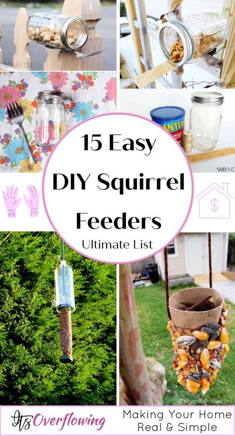 Squirrel Slinky Feeder Tutorial Wildlife Feeders Diy, How To Make A Squirrel Feeder, Squirrel Corn Cob Feeder, Homemade Squirrel Feeder, Diy Squirrel Feeder Easy, Squirrel Habitat, Diy Squirrel Feeder, Squirrel Picnic Table Feeder, Deer Feeder Diy