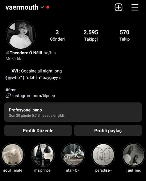 Vaermouth on ig Rp Account Profile, Rp Bio, Rp Account, Aesthetic Apps Games, Aesthetic Apps, Cute Home Screen Wallpaper, Noah Centineo, Ig Bio, Aesthetic Core