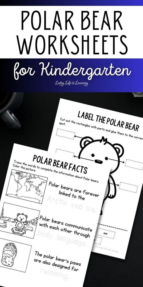 Polar Bear Worksheets for Kindergarten Polar Bear Worksheets, Polar Bear Activities, Polar Bear Printable, Bear Activities, Bear Printable, Worksheets For Kindergarten, Polar Bear, Kindergarten