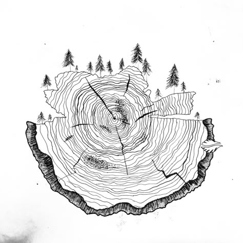 Tree Ring Tattoo, Pine Tattoo, Colorado Tattoo, Cool Nature, Circle Tattoo, Cool Tattoo, Cross Hatching, Mountain Tattoo, Diy Tattoo