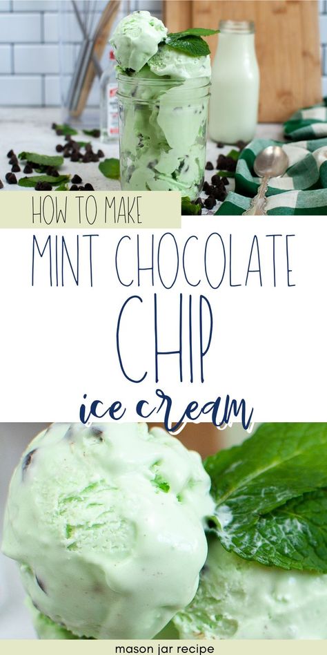 Best Mint Chocolate Chip Ice Cream Mint Chip Ice Cream Recipe, Ice Cream Mason Jars, Homemade Mint Chocolate Chip Ice Cream, Soft Serve Ice Cream Recipes, Kitchen Aid Ice Cream Recipes, Best Salad Dressings, Ice Cream Mint, Mason Jar Gift Ideas, Mason Jar Recipe