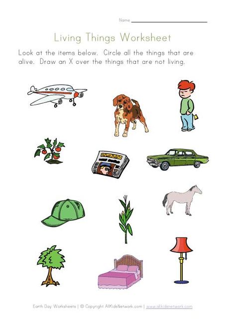 Living Things Printable Living Non Living Worksheet, Earth Day Worksheets, Living And Nonliving, Natural Things, Kindergarten Science, 1st Grade Worksheets, Kindergarten Math Worksheets, Science Worksheets, Science Resources