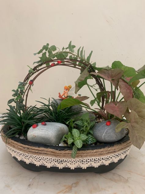 Garden Ideas India, Miniature Garden Diy, Indoor Fairy Gardens, Creative Garden Decor, Mini Zen Garden, Fairy Garden Plants, Plant Pot Design, Beautiful Terrariums, Succulent Garden Design