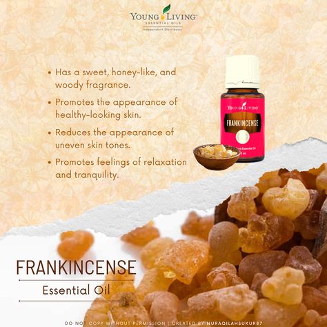 Benefits Of Frankincense Essential Oil, Frankincense Essential Oil Young Living, Benefits Of Frankincense, Frankincense Benefits, Christmas Photo Album, Frankincense Essential Oil, Woody Fragrance, Young Living Essential Oils, Christmas Photo