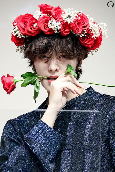 Ravn Oneus, Oneus Ravn, Be Real, Kristen Stewart, Beautiful Wallpapers, Pop Group, Flower Crown, Boyfriend Material, Kpop Idol