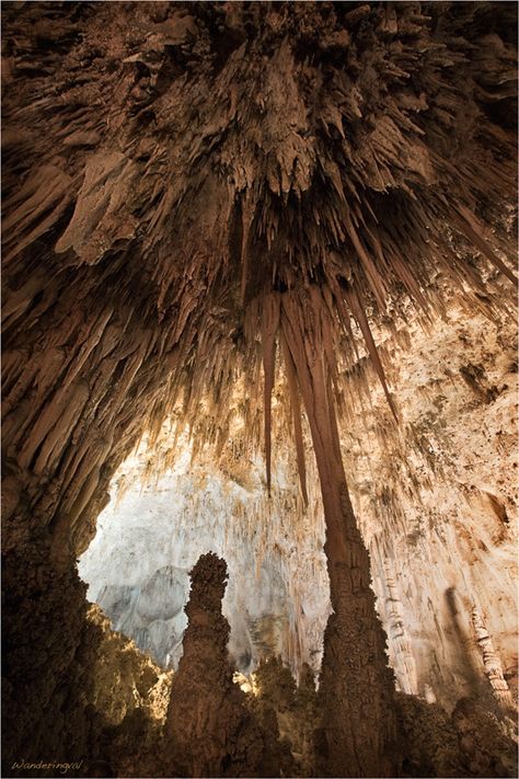 Magnificent scenery of the cave Stalactites And Stalagmites, Carlsbad Caverns National Park, Carlsbad Caverns, Geology Rocks, Rock Formations, Natural Phenomena, Ancient Times, Science And Nature, Rocks And Minerals