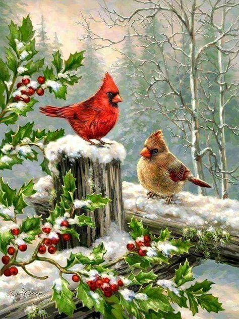 Merry Christams, Christmas Cardinals, Winter Bird, Christmas Bird, Two Birds, Christmas Scenes, Bird Pictures, Red Birds, Vintage Christmas Cards