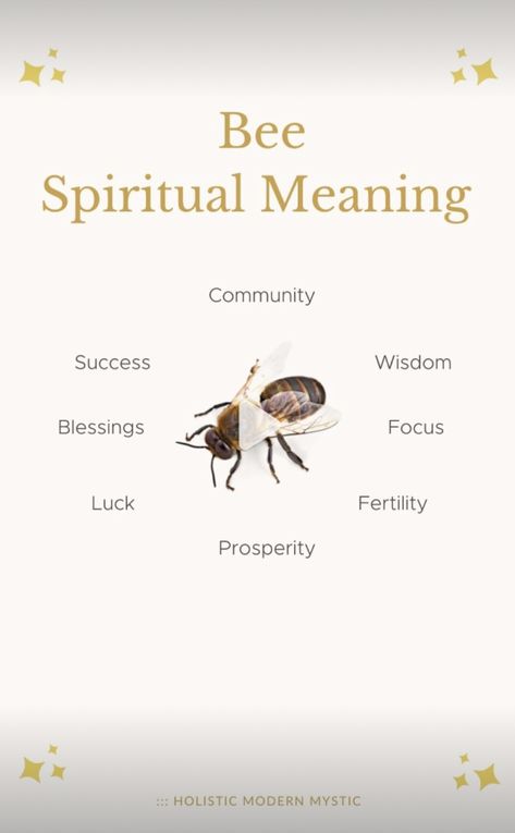 Bumble Bee Spiritual Meaning, Bumble Bee Symbolism, Bee Spiritual Meaning, Animal Omens, Animals Symbolism, Bee Spirit Animal, Pagan Sabbats, Spiritual Animals, Animal Totem Spirit Guides