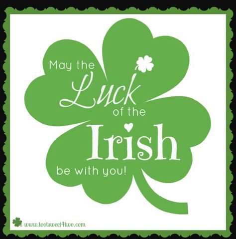 May the luck of the lrish be with you Multicultural Festival, Irish Proverb, Irish Toasts, Irish Sayings, St Patties, Dog Sayings, Irish Blessings, St Patricks Day Quotes, Irish Proverbs