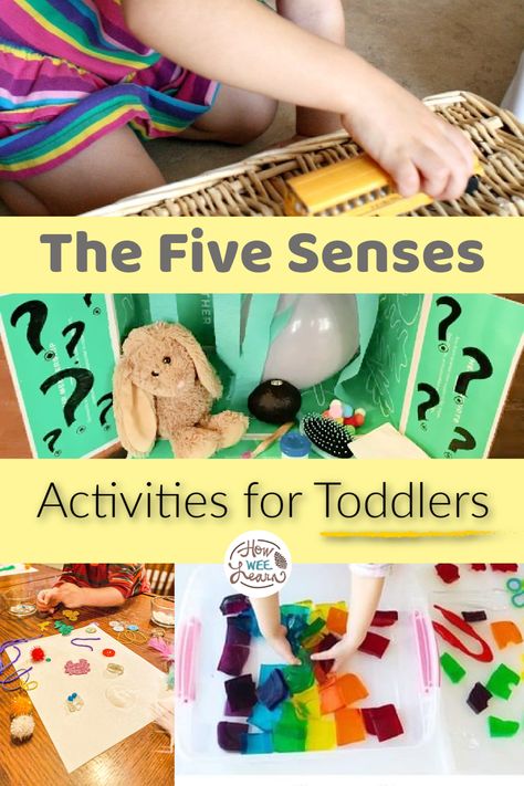 5 Senses Infant Activities, Five Senses Activities For Infants, Five Senses Infant Activities, 5senses Activities For Toddlers, 5 Senses Lesson Plan For Toddlers, Five Senses Theme Preschool Activities, 5 Senses For Toddlers Activities, Touch And Feel Activities For Preschool, Five Senses Hearing Activities