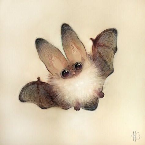 Image via We Heart It https://weheartit.com/entry/147308467/via/497196 #adorable #art #bat #cute #fluffy #round #sketch #heathersketcheroos Bat Art, Cute Bat, Dessin Adorable, Arte Animal, Art And Illustration, 영감을 주는 캐릭터, Cute Animal Drawings, 귀여운 동물, Fantasy Creatures