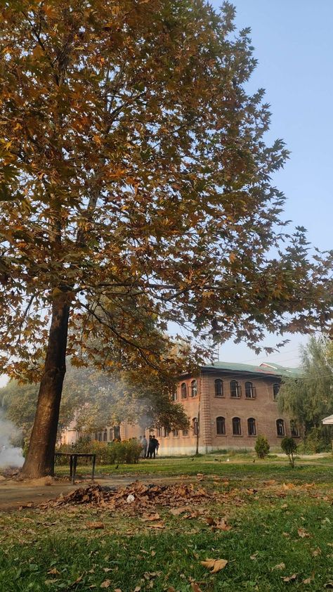 Autumn 🍁🍂 Amar singh college srinagar kashmir Park Desi #nature #Beautiful #srinagar #kashmir #park #chinar #trees Srinagar Autumn, Srinagar Kashmir Aesthetic, Srinagar Photography, Srinagar Aesthetic, Srinagar Kashmir Photography, Autumn In India, Kashmir Restaurant, Kashmir Aesthetic, Kashmir Beauty