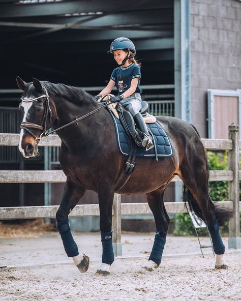 English Horse Riding, Horse Riding School, English Horses, Pictures With Horses, Reining Horses, Riding School, Horse Photo, English Horse, Horse Fashion