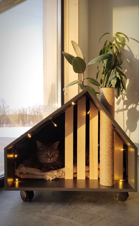 Wallpaper Gatos, Pet Room, Niche Chat, Diy Cat Tree, Cat House Diy, Gardening Diy, Wood Project, Animal Projects, Indoor Gardening