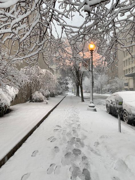 December Core, Snow Walk Aesthetic, Pretty Places Snow, Snow Fall Asthetic, Winter Snow Wallpaper, Snow Outside Window Aesthetic, Horses Winter Aesthetic, Snowy Weather, Snow Girl