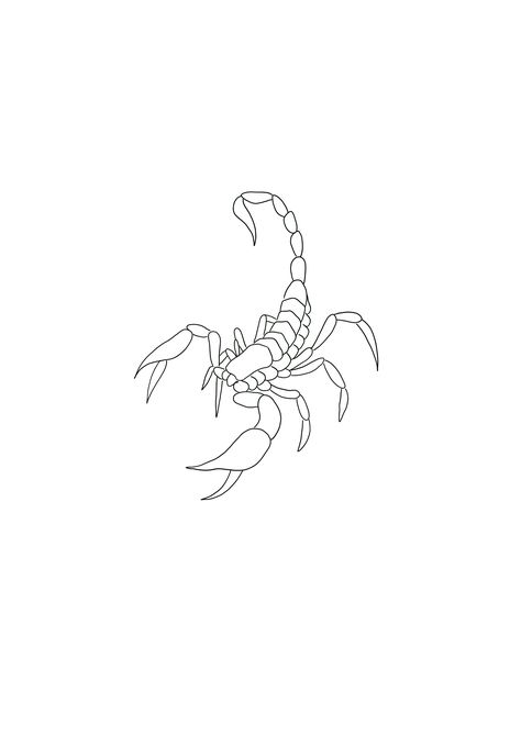 One Line Scorpion Tattoo, Line Art Scorpion, Scorpion Line Art, Fineline Scorpion Tattoo, Scorpion Tattoo Fine Line, Scorpio Tattoo Stencil, Scorpion Tattoo Red, Scorpion Line Tattoo, Cute Scorpion Tattoo