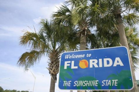 Welcome To Florida, Orlando Florida Disney, Cheap Things To Do, Disney Orlando, Map Of Florida, Moving To Florida, Florida City, Energy Industry, Florida Living