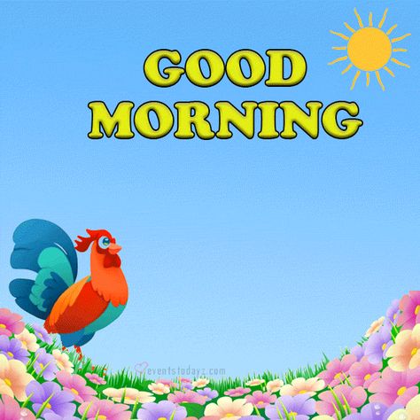 Good Morning Gif Images, Good Morning Gift, Good Morning Wishes Gif, Good Morning Dear Friend, Special Good Morning, Good Morning My Friend, Good Morning Saturday, Good Morning Beautiful Gif, Good Morning Animation