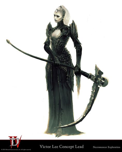 Diablo Necromancer Art, Diablo Characters, Diablo Art, Blizzard Diablo, Dnd Stuff, Blizzard Entertainment, Game Character Design, Female Character, Character Ideas