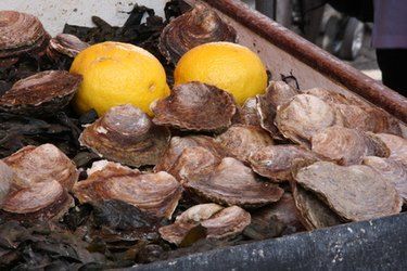 Steamed Oysters On Stove, Steam Oysters, Fish In Foil Packets, Baked Oyster Recipes, Steamed Oysters, Oyster Roast, Cajun Creole Recipes, Oyster Recipes, Steam Recipes