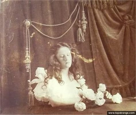 Memento Mori: Vintage Photo Meme Memento Mori Photos, Louis Daguerre, Post Mortem Pictures, Victorian Photos, Momento Mori, Post Mortem, After Life, Victorian Art, Memento Mori