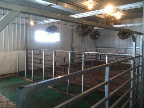 show cattle barns | DIAMOND G CATTLE CO.: I want this only smaller scale! One pen with fans and head ties!!! My kids will be spoiled Show Cattle Barn Layout, Cattle Barn Designs, Show Cattle Barn, Cattle Showing, Cattle Facility, Showing Cattle, Livestock Showing, Cow Barn, Livestock Barn